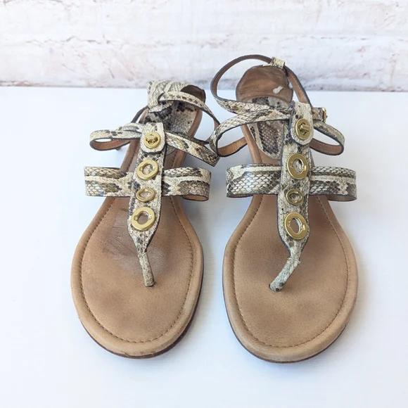 Coach Snake Print Sandals with Gold Accents - Picture 1 of 12